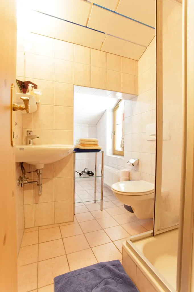 Badezimmer mit Dusche im Lampacher Apartment